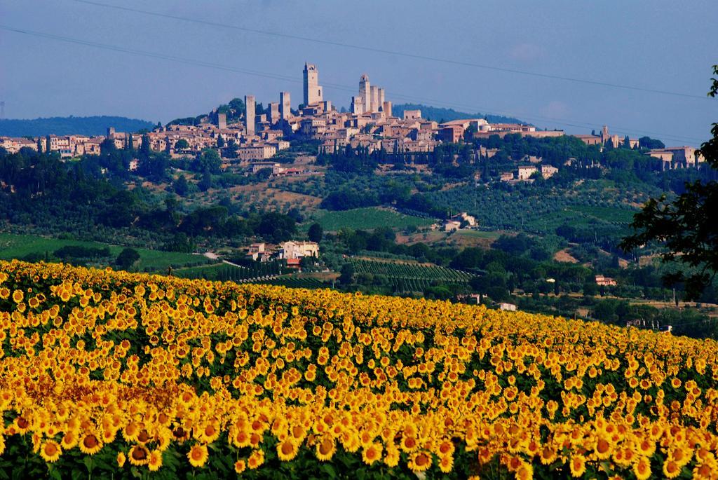 Villa Il Palagione San Gimignano Exterior foto